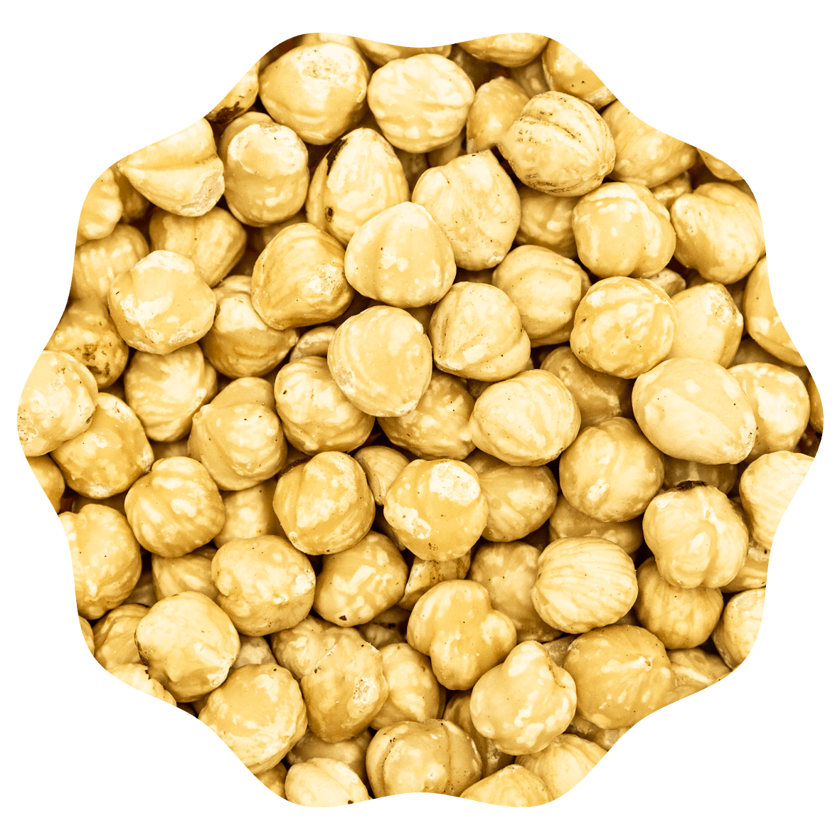 RANOBO HAZELNOTEN WIT