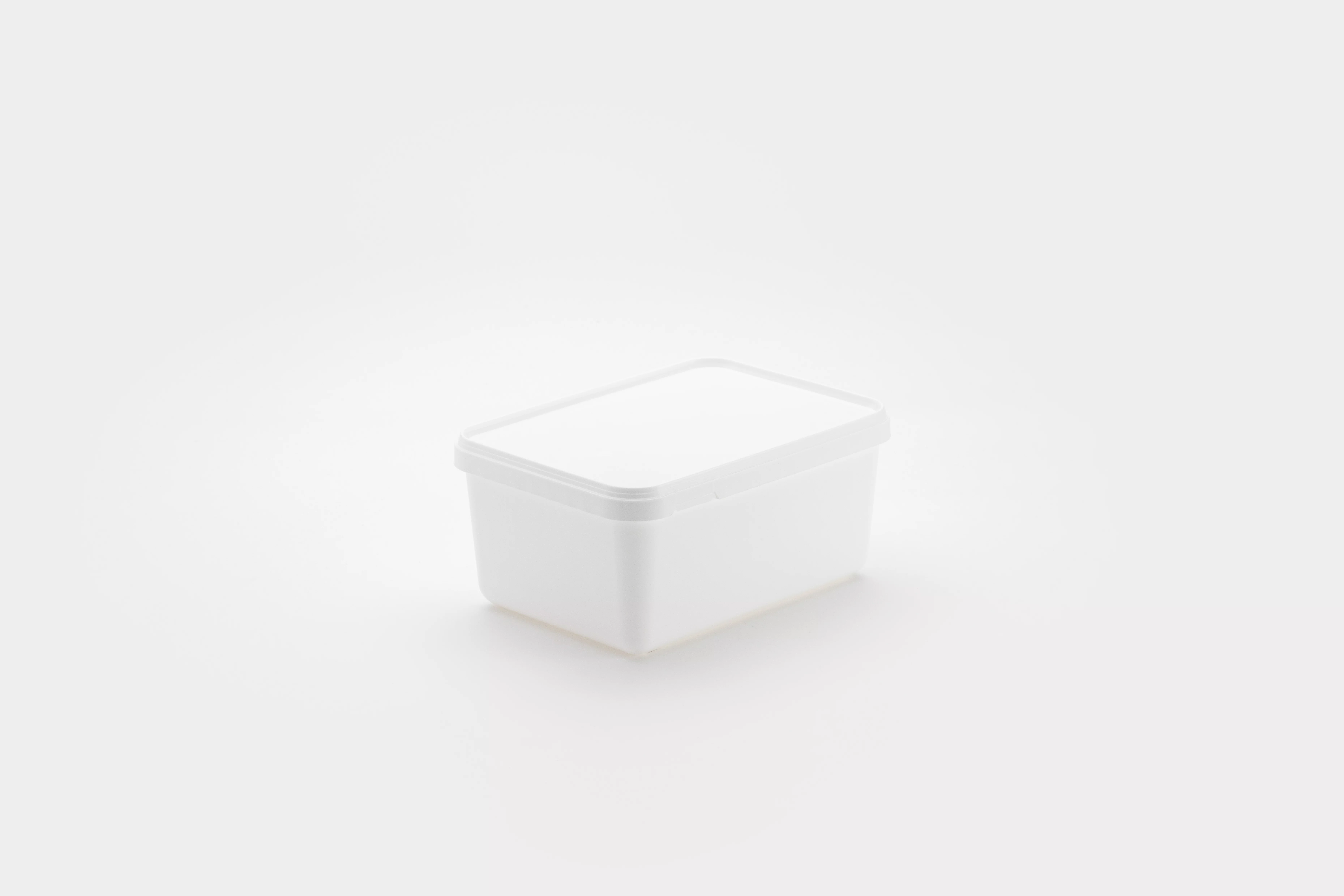 Boite plastic a congeler 2.5L