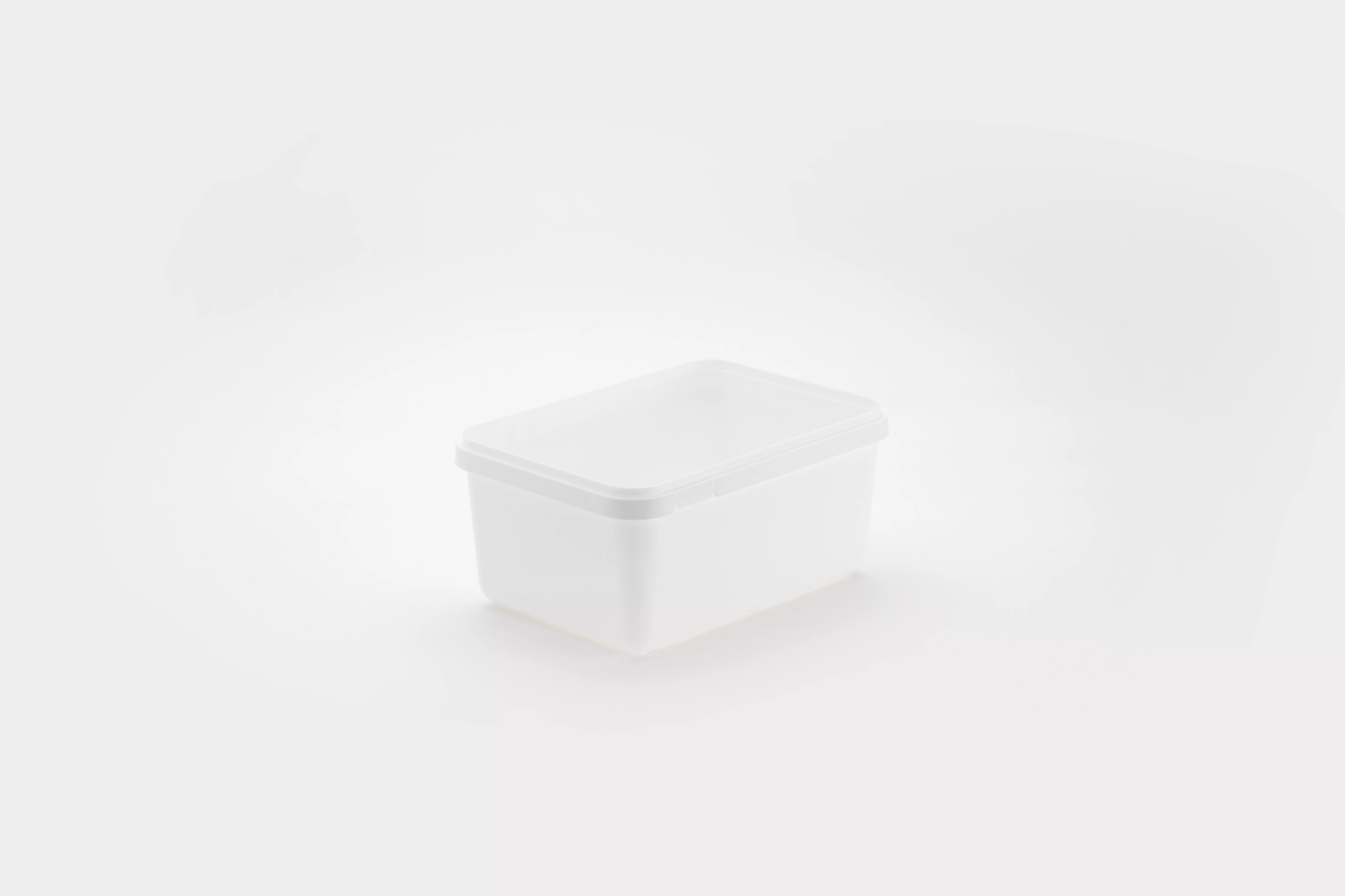 Boite plastic a congeler 2.5L