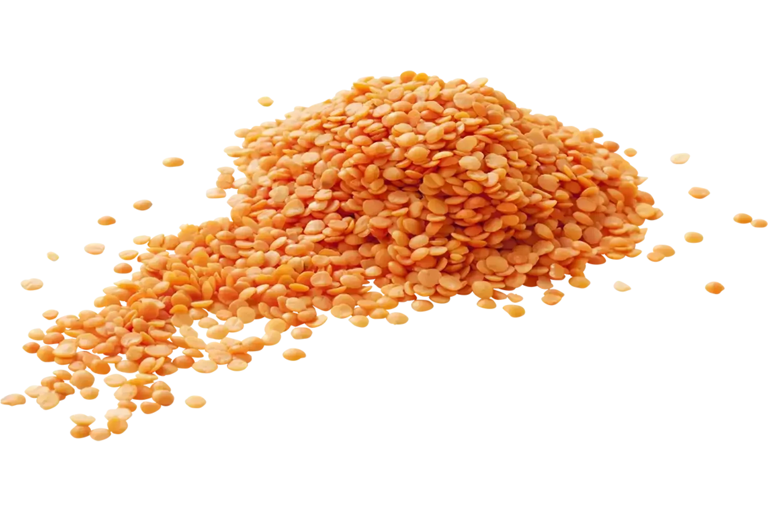 LENTILLES SECHEES ROUGE