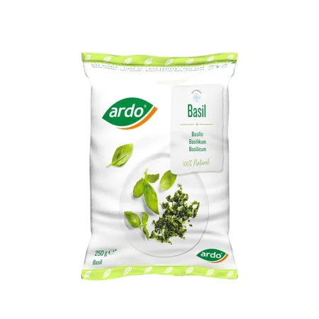 BASILIC
