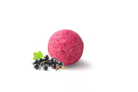SORBET CASSIS