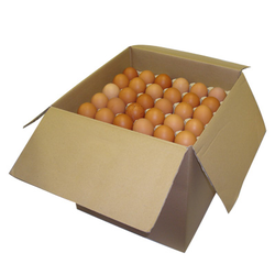 OEUFS M  le carton
