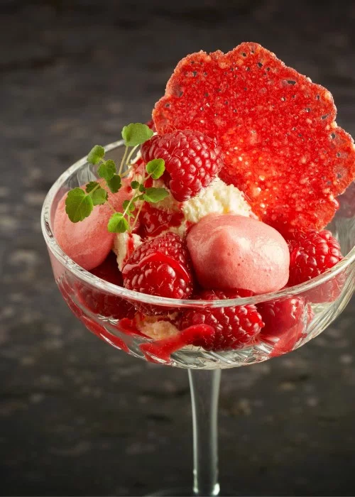 MOUSSE - SIPHON EVOLUTION FRAMBOISE - ESPUMA