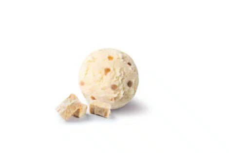 IJSROOM NOUGAT DE MONTELIMAR